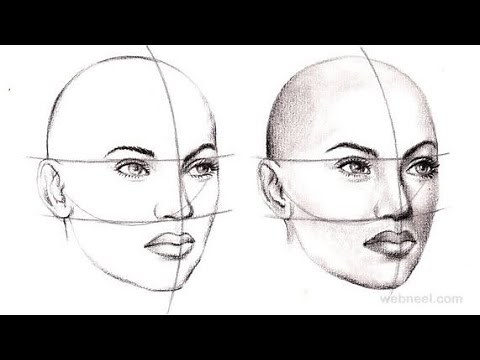 اساسيات رسم الوجه بالتفصيل!
