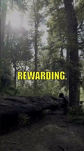 Why We Fear Success More Than Failure #shorts