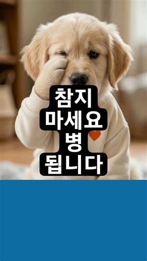 화병 나기 일보 직전? 딱 '이것'만 따라 하세요! #스트레스해소 #중년건강 #화병예방 #자기관리 #마음챙김 #쇼츠 #1분상식 #리트리버 #하루행복 #건강한중년