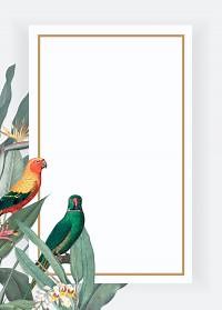 How to kill a Mockingbird