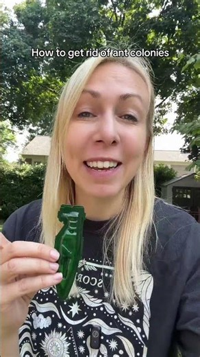The TERRO liquid ant baits for outdoors are great if you want to get rid of ants outside - and if