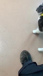 23 reactions · 3 comments | LA Animal Services is continuing to...