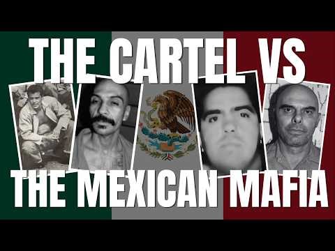 La Eme vs Cartel… ⚠️ Who Really Has the Power?