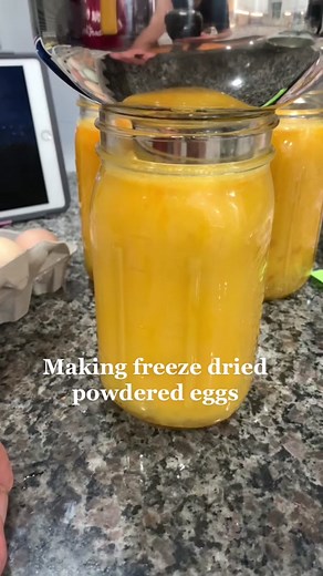 Holder_Hollow_Homestead on TikTok