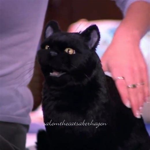 Salem Saberhagen | Sabrina The Teenage Witch (1999) Season 4, Episode 1 - No Place Like Home #SabrinaTheTeenageWitch #SabrinaSpellman #SalemSaberhagen... | Instagram