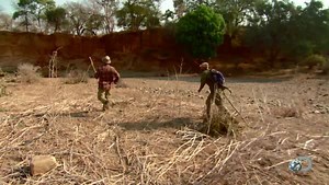 4.9K views · 177 reactions | The only way out of hell is through it. | Dual Survival | Facebook