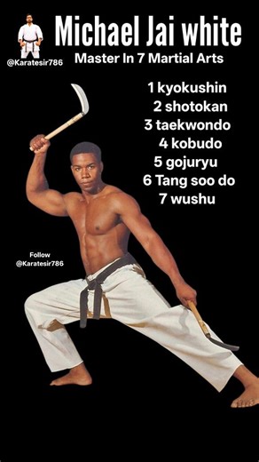 Michael Jai white master in seven martial arts | KARATE SIR