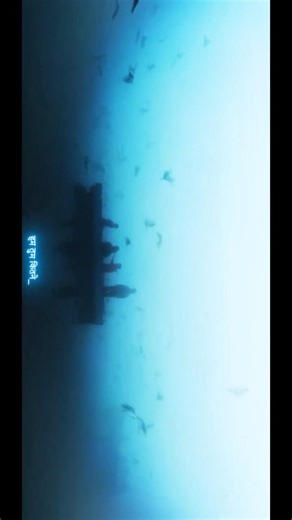 How I Edited This Cinematic Shot 🎬Simple Color Grading Tutorial for #videoediting