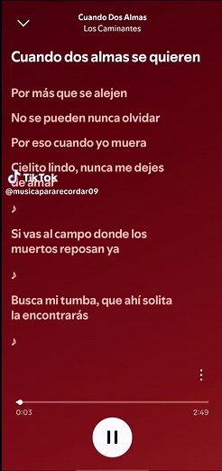 Cuando Dos Almas Se Quieren Letra Completa | Los Caminantes