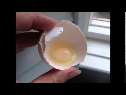 Egg inside an Egg