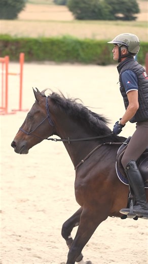 ☀️ Un mors I-Bride ou rien! Une première séance complète en licol éthologique qui permet de voir ses réactions au niveau des dents. Un cheval détendu et bien dans ses dents grâce à du matériel adapté et un suivi régulier du dentiste 🦷 N’hésitez pas à contacter l’équipe pour plus d’informations sur leurs mors 🫱🏼‍🫲🏽 🎥 Léa Royer #ecuriekl #karimlaghouag #horse #horseriding #concourscomplet #eventing #horseofinstagram #equestrianlife #dreamdevieve #horselover #chevaux #pony #horselove #instaho