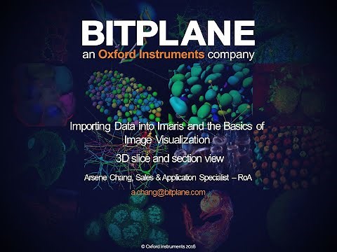 1.5 Imaris 3D, Slice and Section view