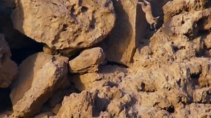 Okay. Goats got robbed for sure! 11/10! m/ @Regranned from Rob Parkin Video - Goat Rampage... Happy New Year! #goatsgotrobbed - #regrann ------------------------------------ Send us more vids and pics! | Downhill24