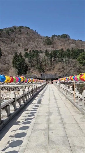 인제 백담사 계곡 걸어서 올라가기 2026년 4월 3 #설악산 #인제여행#등산#계곡등산#등산스타그램#트레킹#산행#당일치기#당일치기여행#국내여행추천#힐링여행#자연풍경#계곡asmr