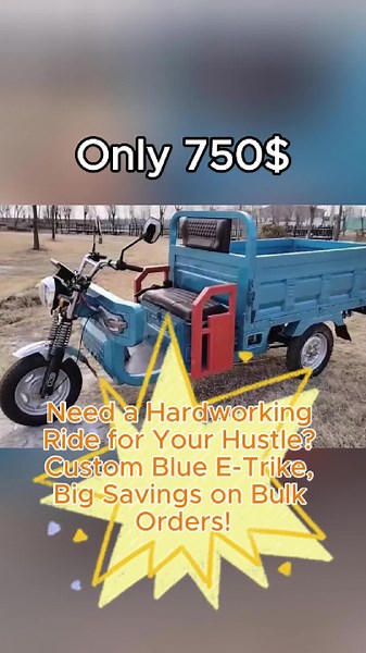 Tired of sourcing one-dimensional work vehicles for your export business? Our custom blue e-trikes are the game-changer—haul heavy loads, set up pop-up stalls, and score big discounts on bulk orders! We’re on the hunt for partners and regional agents to expand global reach. Join us, and let’s profit together! #tricycle #export#electrictricycle#factory#electric