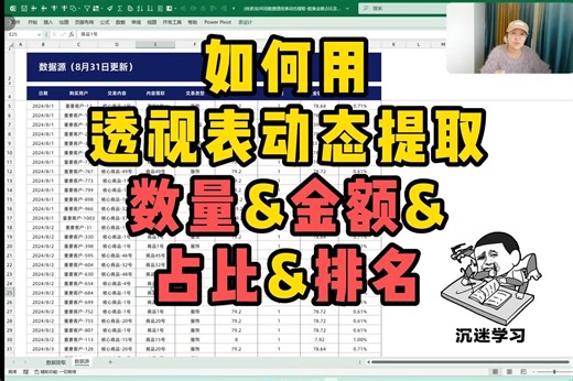 如何用透视表动态提取，数量&金额&占比&排名？