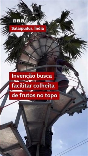 Agricultor instala escada em espiral de ferro ao redor de uma palmeira no quintal de casa na Índia