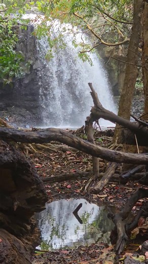 5.8K views · 107 reactions | EaglEye Video - Cascade Marazine | Hiking with Ashwin | Facebook