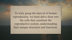 Structure and Function of Cells in the Reproductive System