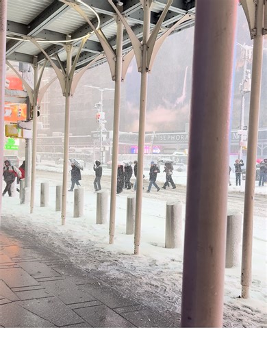 Snow Blanket Over New York City: A Winter Wonderland