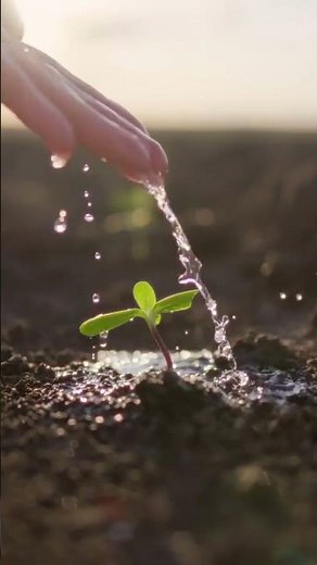 How to Stretch Bird Netting: A Friendly Guide to Protecting Your Garden #birdnetting