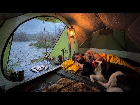 3 Days Solo Camping in Heavy Rain with My Dog. Fishing - Bushcraft Survival Skills