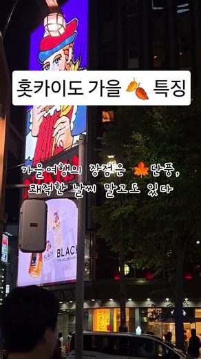 가을 북해도 삿포로 여행 장점 🍁