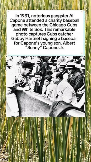 Al Capone and Gabby Hartnett at the Ballgame: 1931 ⚾ #TrueCrime #History