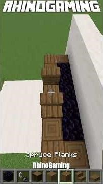 Building A Nether Portal With Spruce Wood! #shorts