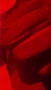 2Quarante - J'aspire à rien