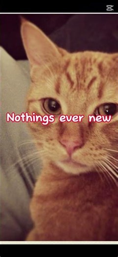 Sibling anthem check