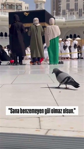 Longing for the Kaaba ♥️♥️♥️ #shorts #kaaba #mecca #medina #hajj #umrah #nasheed #rawdah #makkah ...