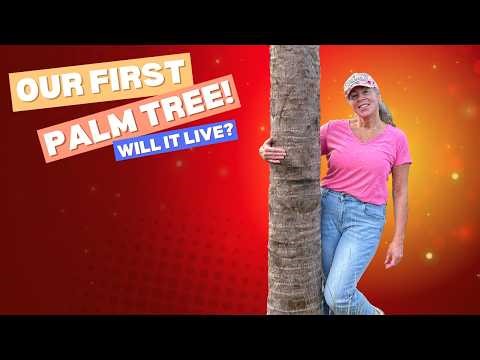 We Bought Our First Palm Tree... Here's What Happened