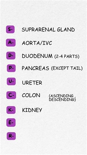 “Retroperitoneal organs remembered forever! One mnemonic = zero confusion 🧠🔥”