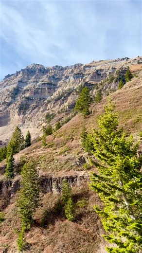 #mountains #moutain #nature #hiking #trees