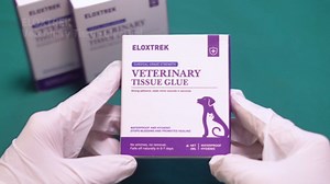3ml Veterinary Surgical Skin Glue with 15 Precise Applicators, Strong Surgical Adhesive, Blue-Tinted Fast-Acting Tissue Wound Glue, Waterproof Wound Sealant for Multi-Pet Households