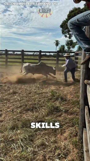 Rodeo Fail Moment