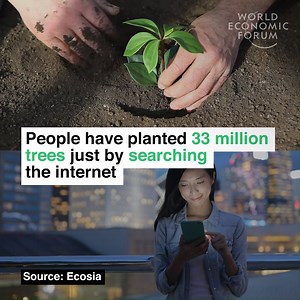 Rebooting the environment, one click at a time. Learn more about reforestation: https://wef.ch/2JZMzLx | World Economic Forum