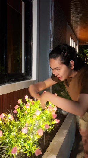 Solar Flower Lights para sa Mas Magandang Garden