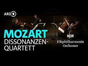 Mozart - String Quartet No. 19 K.465 "Dissonance" | Noah Quartet | NDR Elbphilharmonie Orchestra