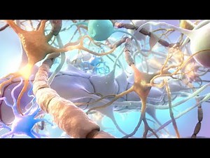 MSA and ALS | MOD/MOA Animation