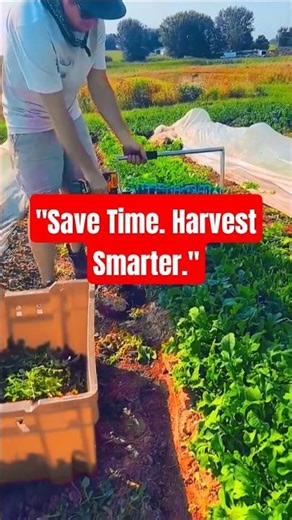 Smartest Harvesting Tool for Modern Farmers! Efficient, Practical & Affordable