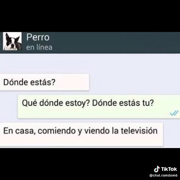 el chat mas ramdom que verás hoy #humor