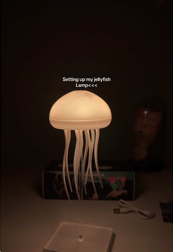 Setting Up My Jellyfish Lamp with 5 Lighting Modes