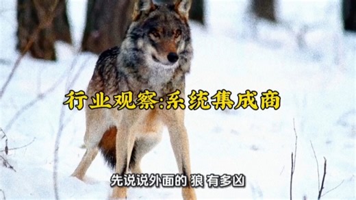 行业观察:系统集成商