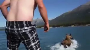 'Moose rider' caught on YouTube video charged