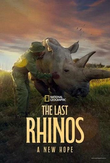 The Last Rhinos: A New Hope (2025) - Movie
