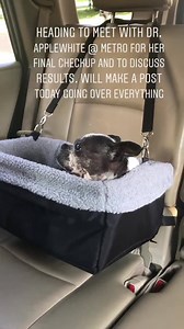 Adventures With Brave Little Miss Bonnie Sue | Luna Bell's Moonbows: Special Needs Fostering