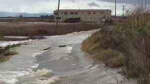Van Sickle Island at Concord Duck Club Suisun Marsh | Suisun News California
