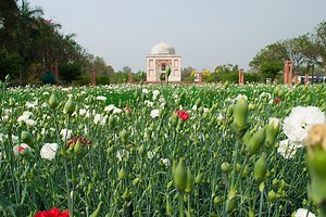 India Center Hosts Webinar on Landscape Architecture in India - College of Sciences News